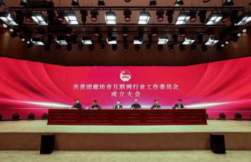 共青團廊坊市互聯網行業工作委員會正式成立，為本地企業網站建設注入青春動能